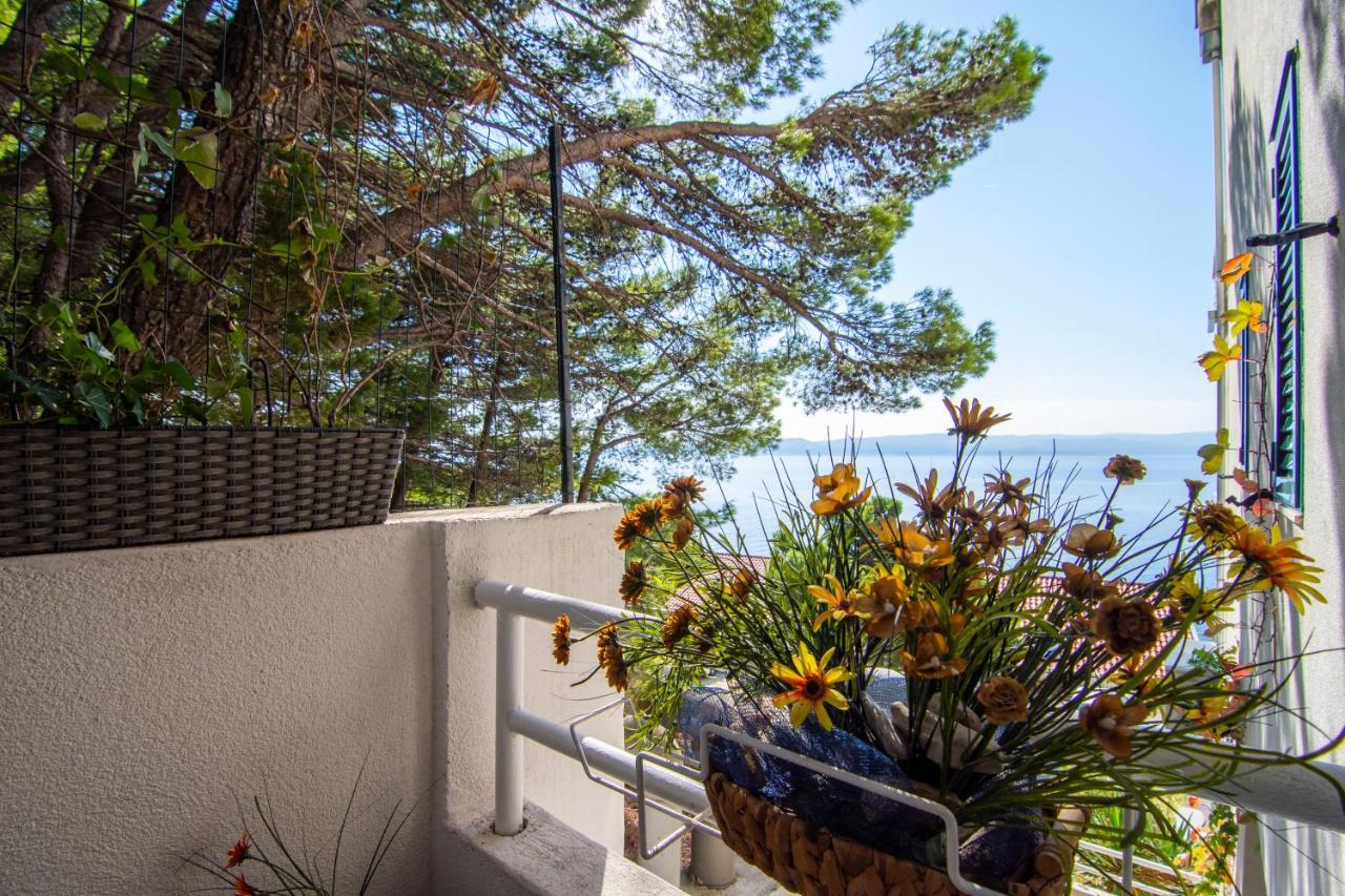 Apartments Vranjes Brela Zewnętrze zdjęcie